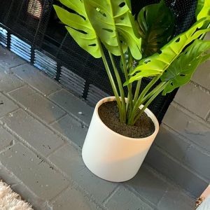 Meet your Posher, Shmar